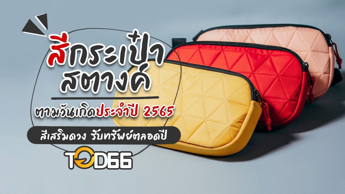 สีกระเป๋าสตางค์ตามวันเกิด 2565 เลือกสีเสริมดวงให้ปัง รับทรัพย์รวยตลอดปี!