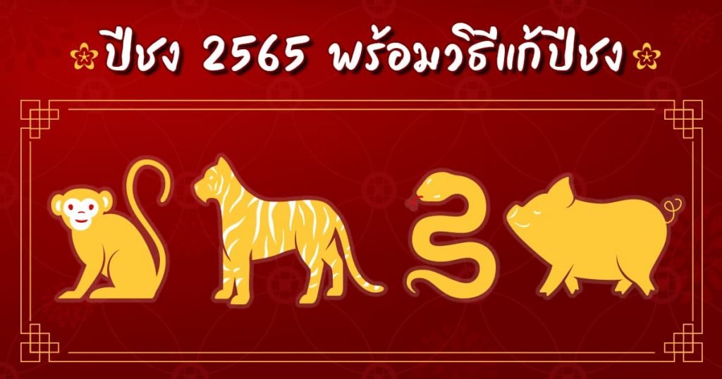 ปีชง 2565 และวิธีแก้ชง